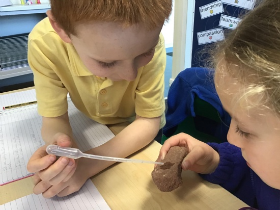 Brookdale Bulletin - 28th November 2025