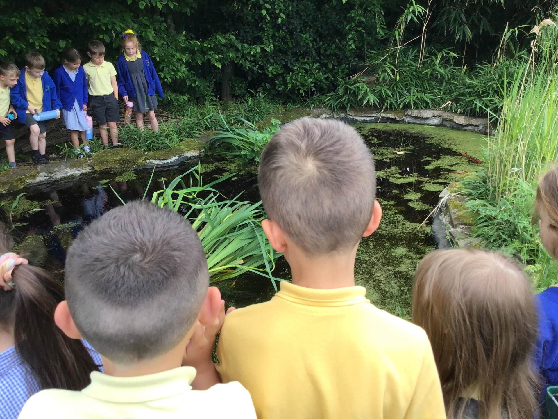 Brookdale Bulletin - 22nd May 2026