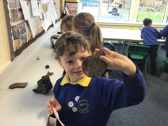 Brookdale Bulletin - 7th November 2025